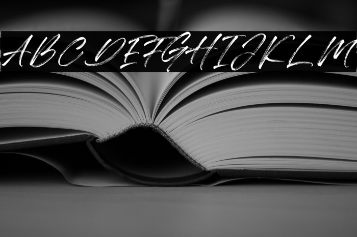 Qillsey Einstein Example 3