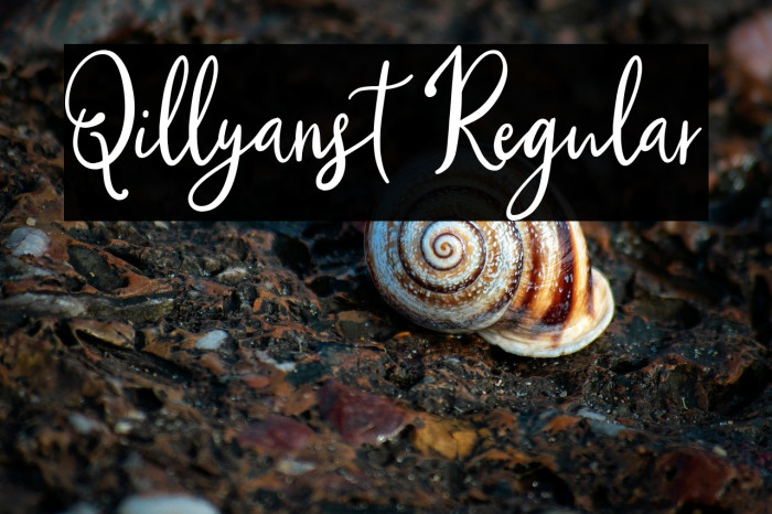 Qillyanst Regular Example 1