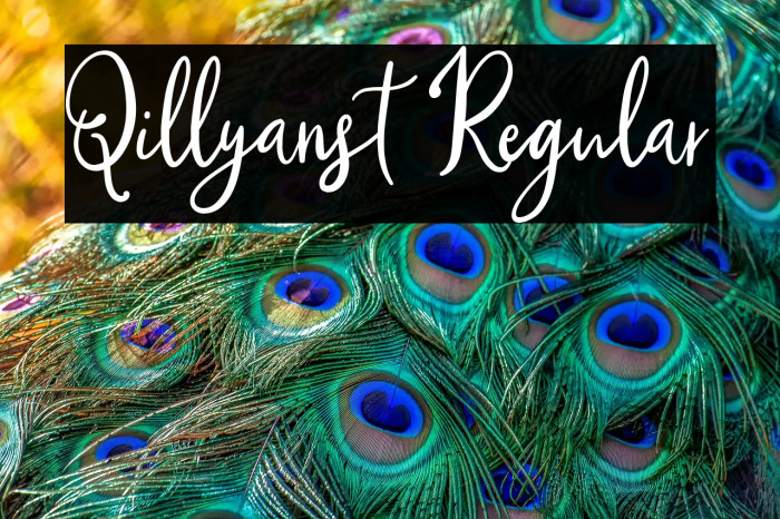 Qillyanst Regular Example 2