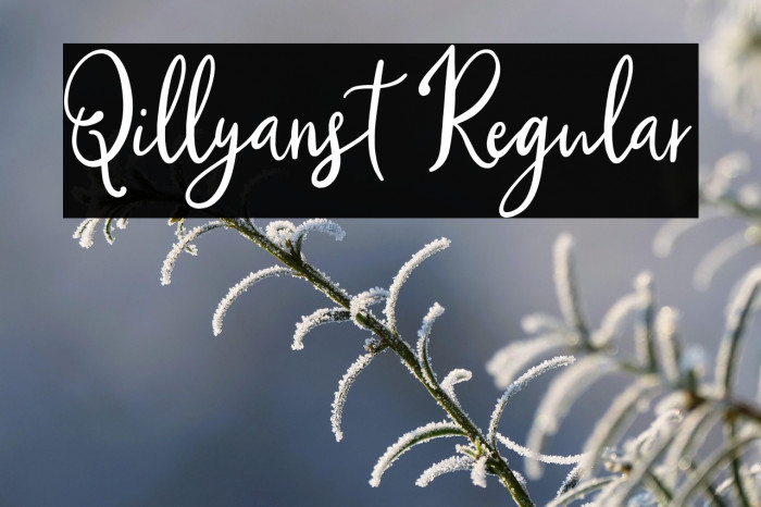 Qillyanst Regular Example 3