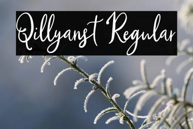 Qillyanst Regular Example 3