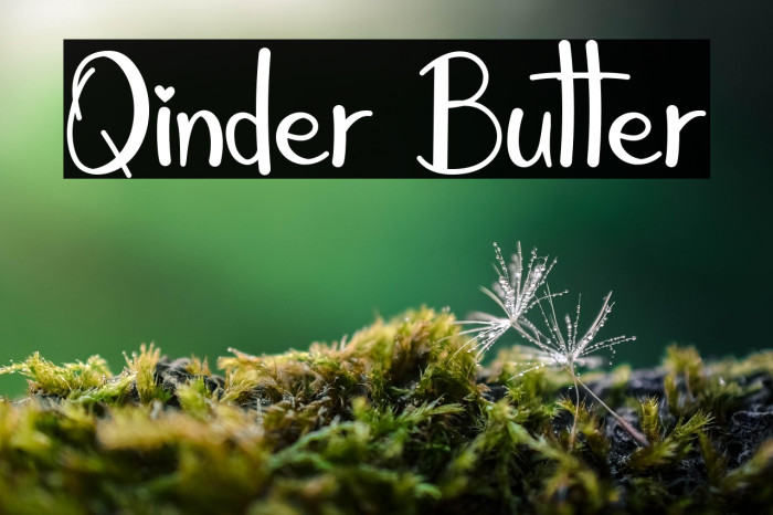 Qinder Butter Example 1