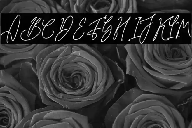 QinderiaSignature-Regular Font examples