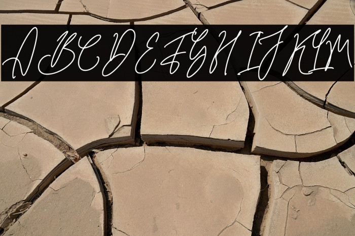 QinderiaSignature-Regular Example 3