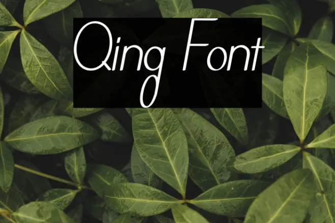 Qing Example 2