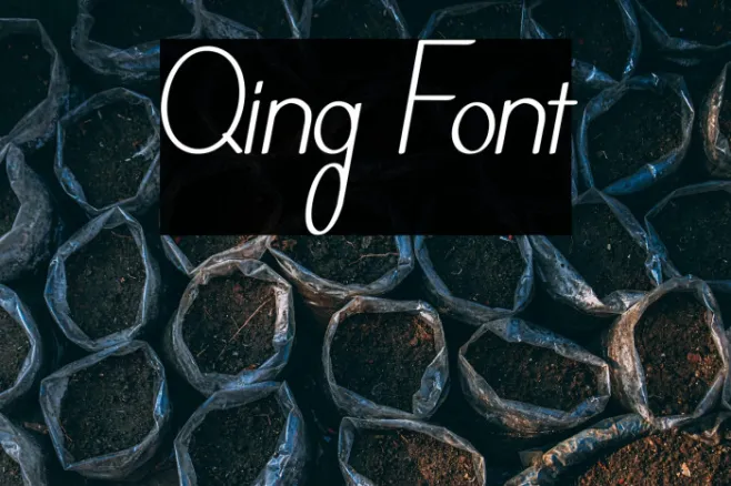 Qing Example 3