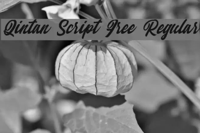 Qintan Script Free Regular Font examples