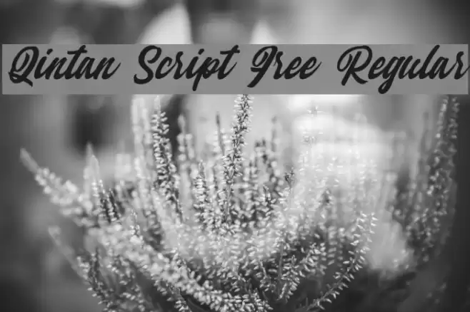 Qintan Script Free Regular Font examples