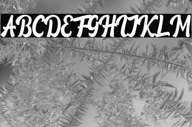 Qintoun Font examples