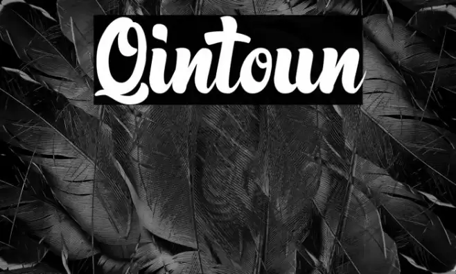 Qintoun Font examples