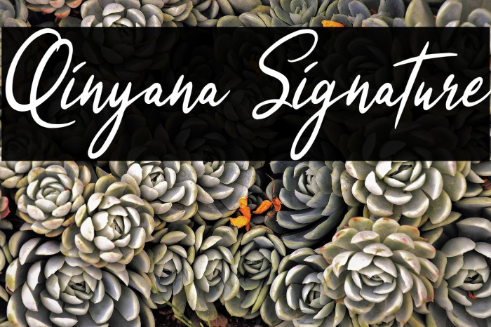 Qinyana Signature Example 1