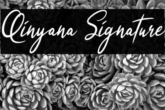 Qinyana Signature Font examples