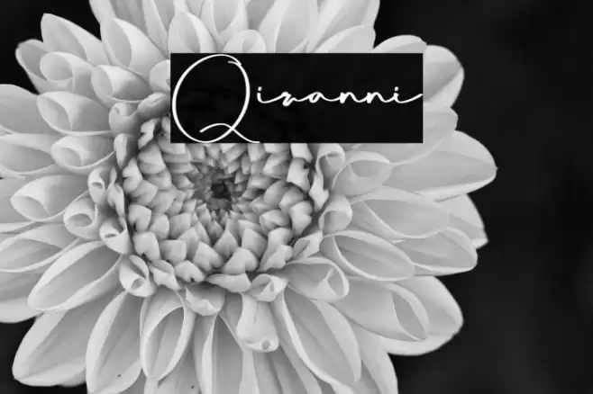 Qiranni Font examples