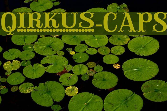 Qirkus-CAPS Шрифта examples
