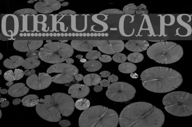 Qirkus-CAPS Font examples