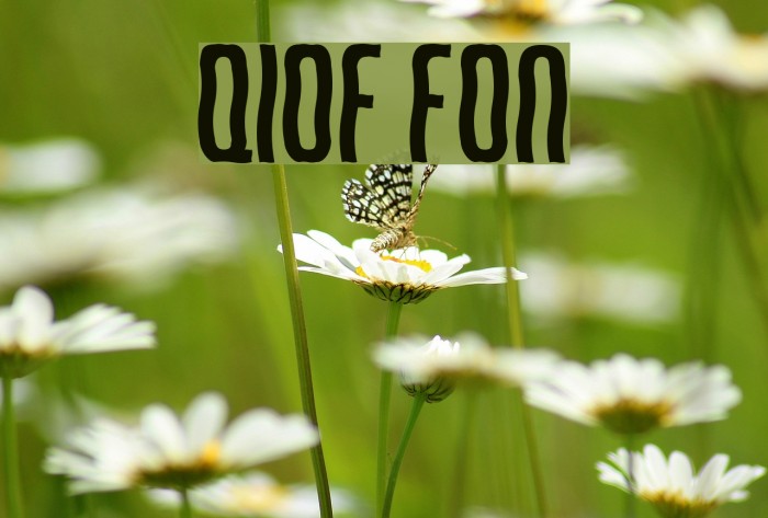Qirof フォント examples