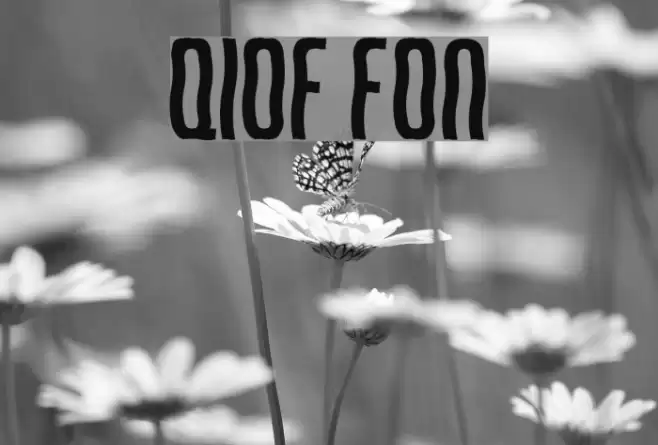Qirof Font examples