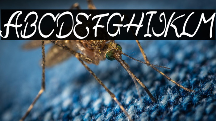 Qistis Blistist Example 1