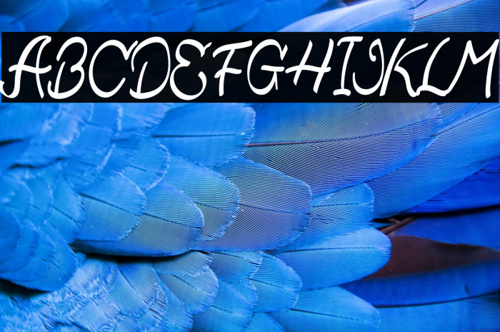 Qistis Blistist Example 2