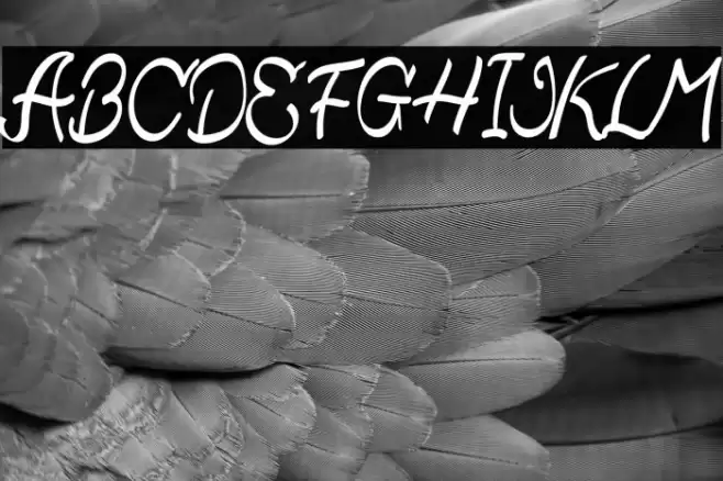 Qistis Blistist Font examples