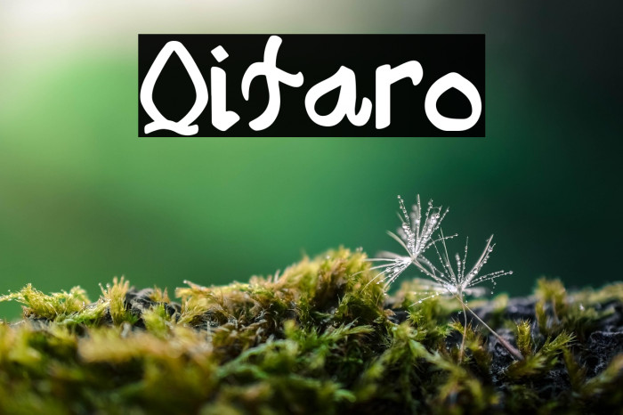 Qitaro Example 2