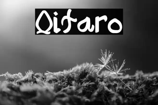 Qitaro Font examples
