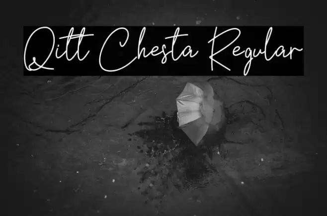 Qitt Chesta Regular Caratteri examples