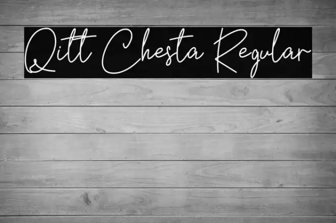 Qitt Chesta Regular Caratteri examples