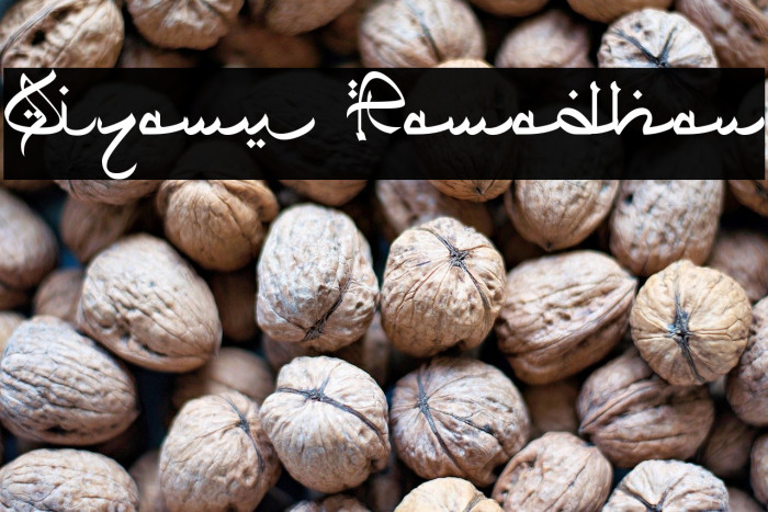 Qiyamu Ramadhan Example 1