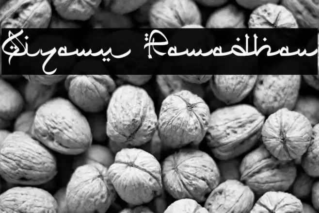 Qiyamu Ramadhan Font examples