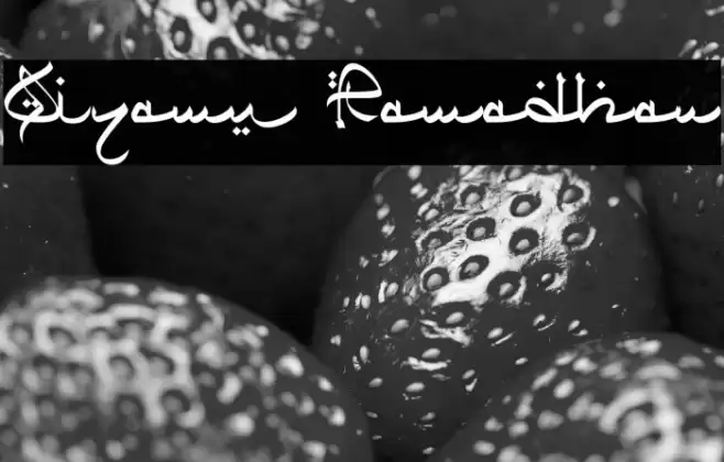 Qiyamu Ramadhan Font examples
