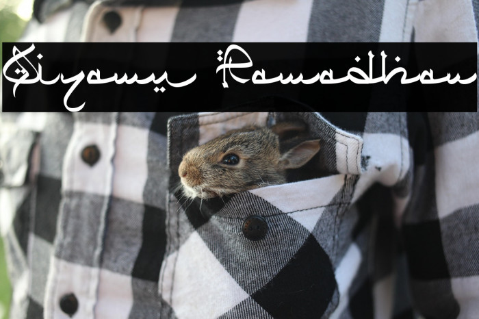 Qiyamu Ramadhan Example 3