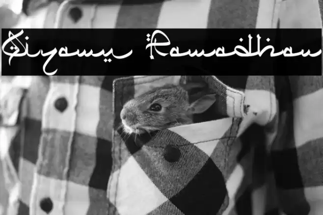Qiyamu Ramadhan Font examples