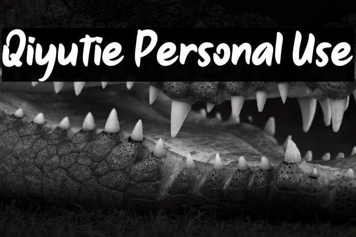 Qiyutie Personal Use Example 1