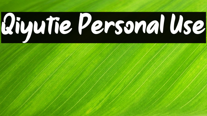 Qiyutie Personal Use Example 3