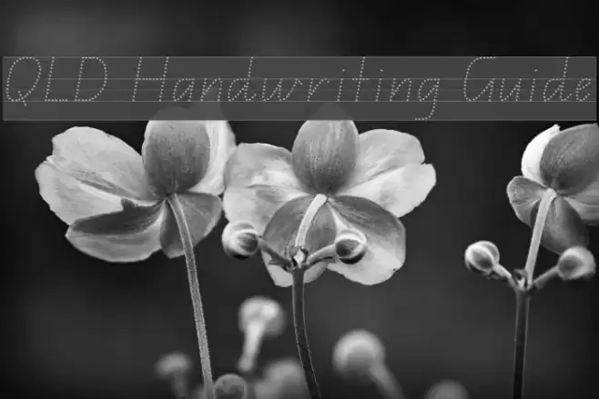 QLD Handwriting Guide Font examples