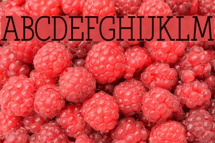 Qlarendon Condensed Example 2