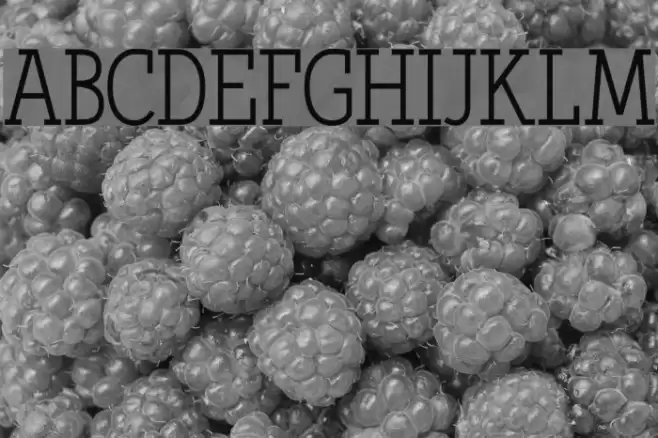 Qlarendon Condensed Font examples