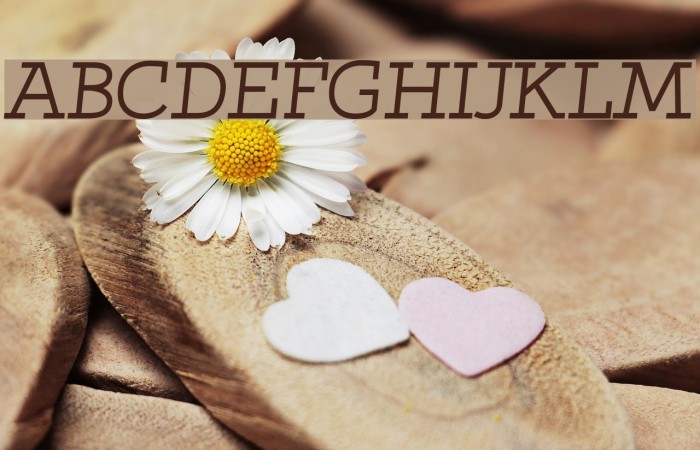 Qlarendon Italic Font examples