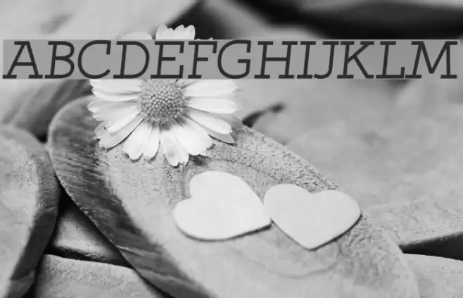 Qlarendon Italic Font examples