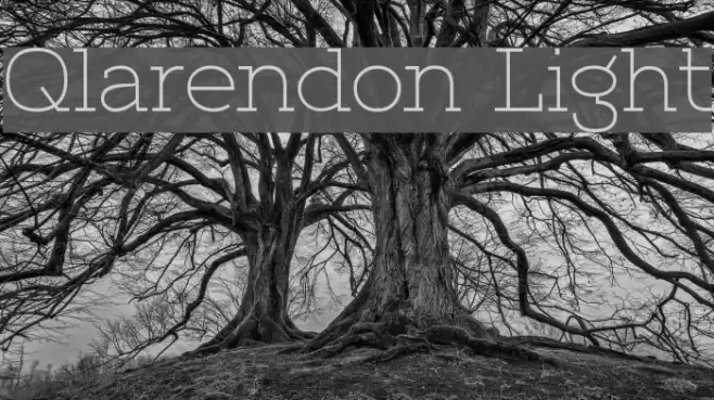 Qlarendon Light Font examples