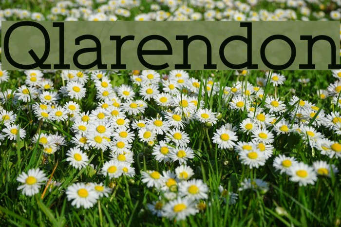 Qlarendon Font examples