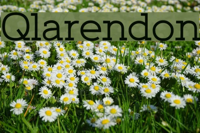 Qlarendon Example 1