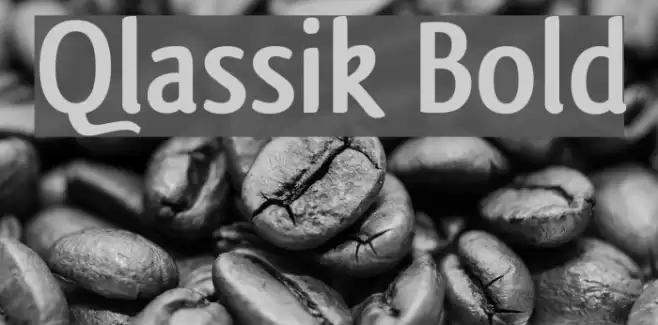 Qlassik Bold Font examples