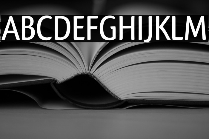 Qlassik Medium Example 1