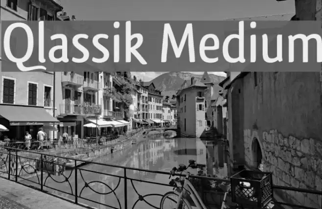Qlassik Medium Polices examples