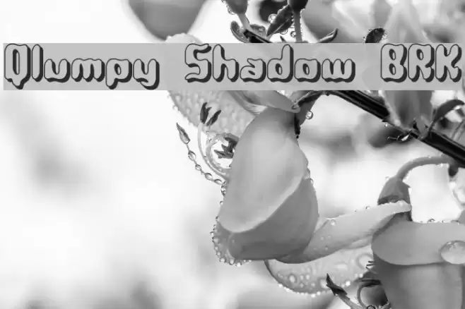 Qlumpy Shadow BRK Font examples