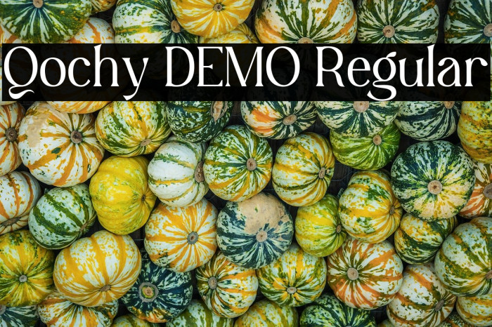 Qochy DEMO Regular Example 1