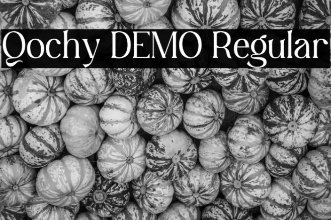 Qochy DEMO Regular Font examples