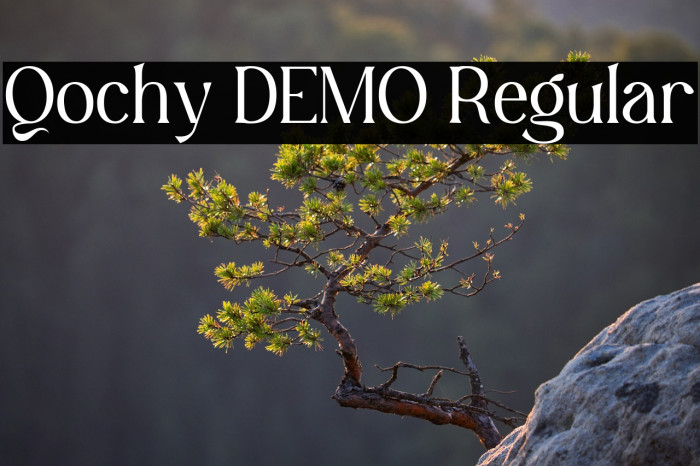 Qochy DEMO Regular Example 2